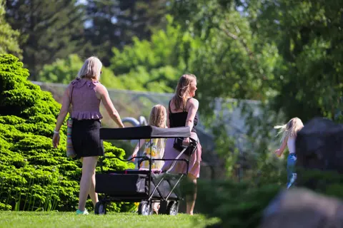 /media/0xzcayzz/4o5a7330_blomsterparken_parken_1920px.jpeg?width=480&v=1daac57ca0776f0