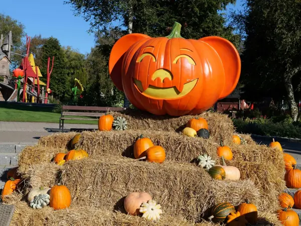 /media/1fjh0d2i/halloween2025_08.jpeg?v=1dc32031bca3680