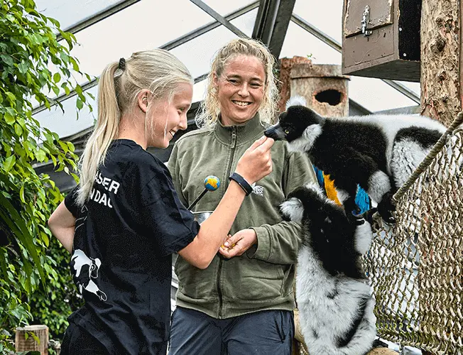 Dyrepasserforendag2016_1.png