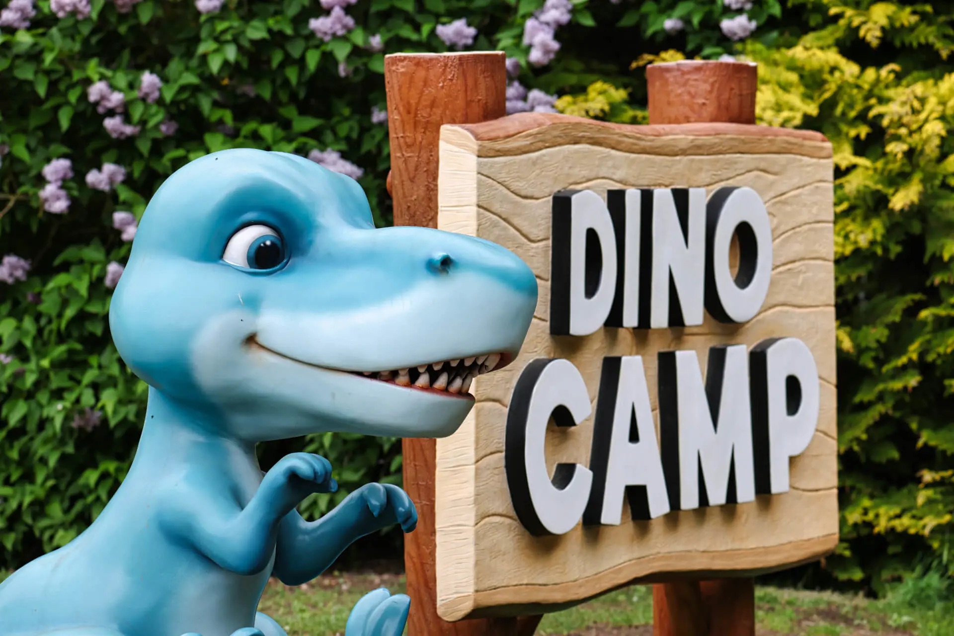Dinocamp 2023 01 1920Px