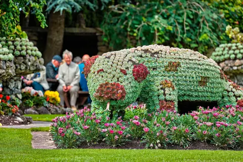 Blomster13.jpg