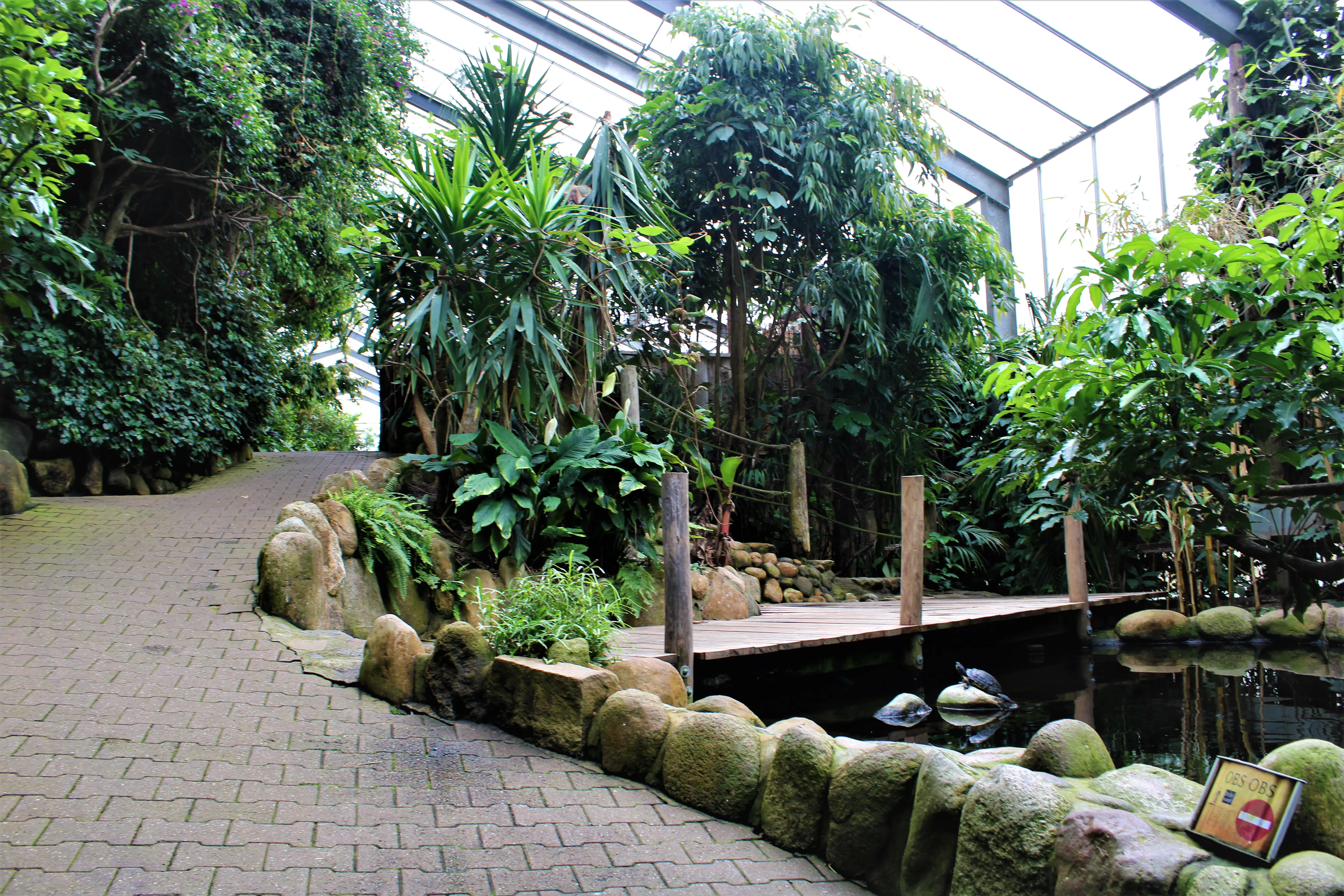 JungleZoo