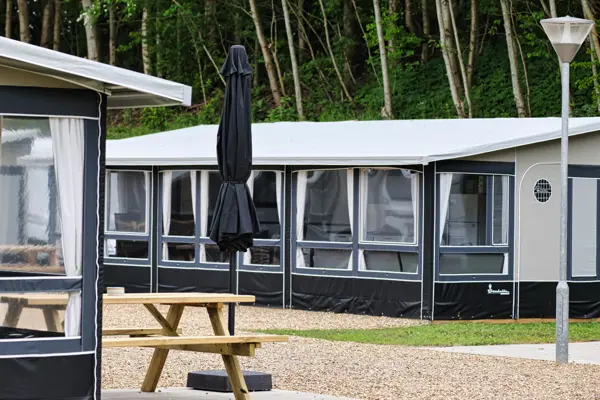 /media/k53noctx/dinocamp_2023_07_1920px.jpeg?v=1d9f60c6187caf0