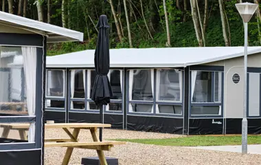 Dinocamp 2023 07 1920Px