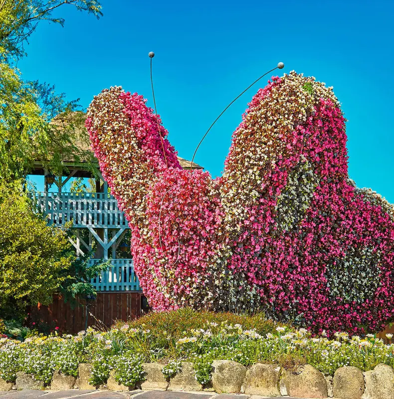 Blomster1.jpg