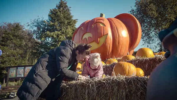 /media/ojxnhohl/halloween-34.jpg?v=1d9da6246b30d90