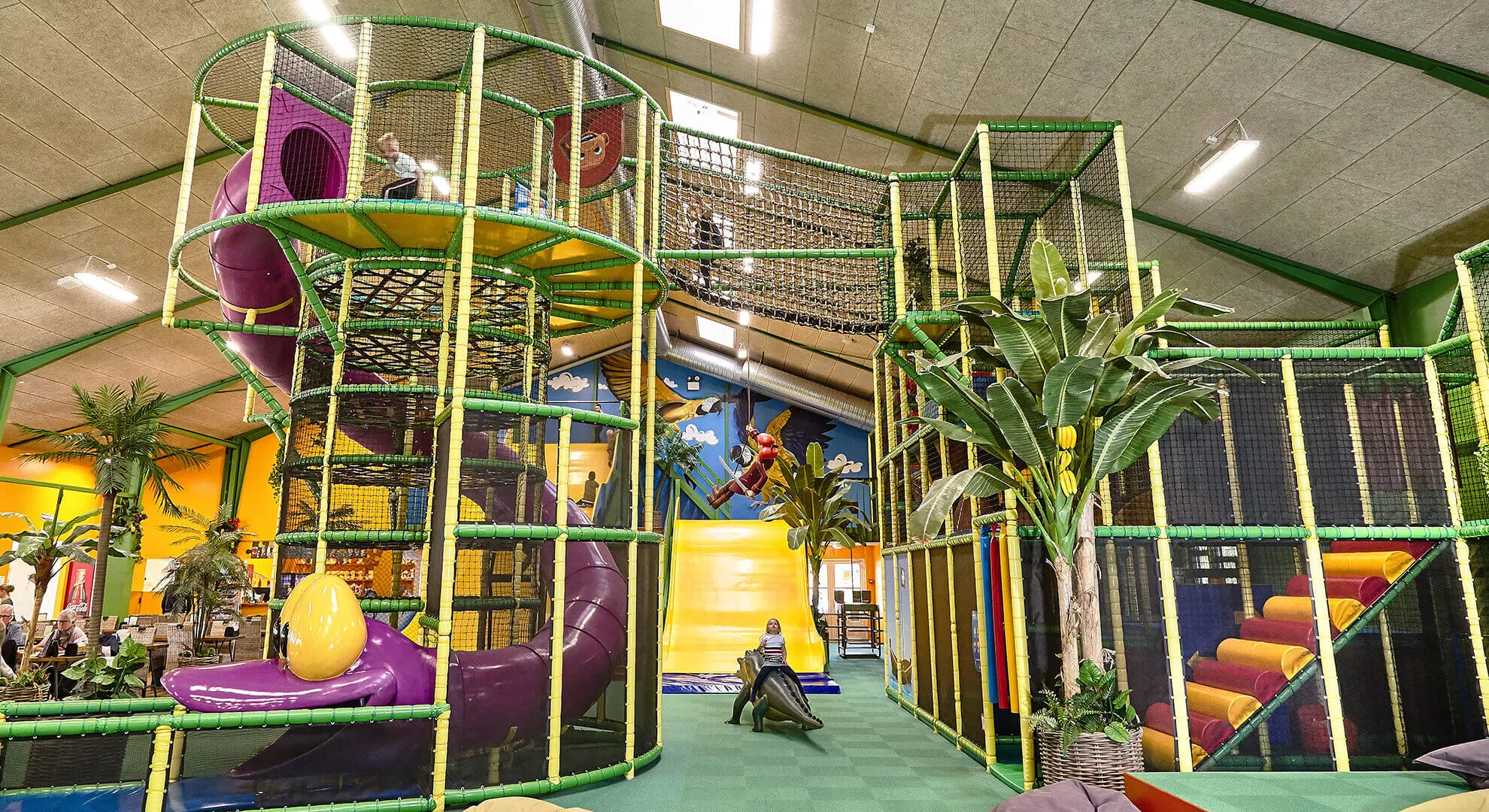 Abeland_7_2019_web.jpg
