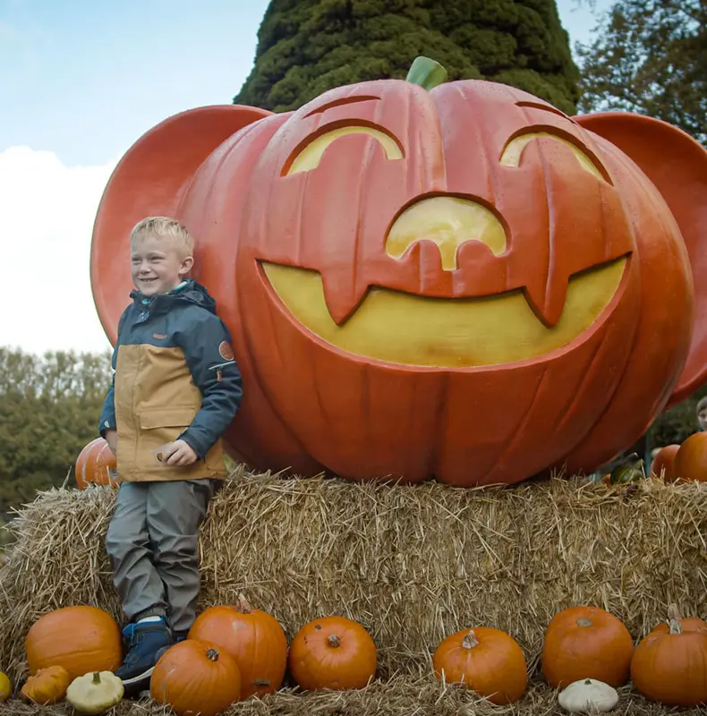 Halloween 38