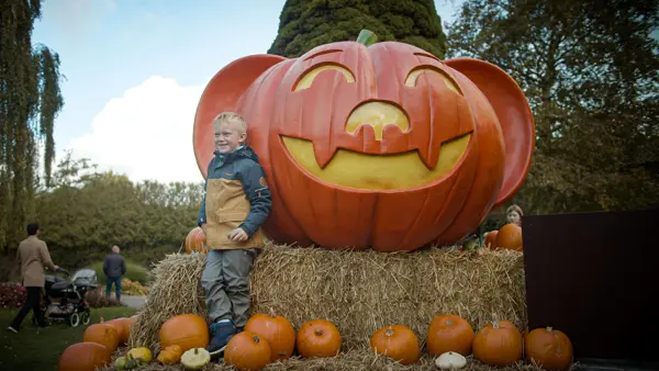 /media/tdmlfw2q/halloween-38.jpg?v=1d9f82533ad15c0