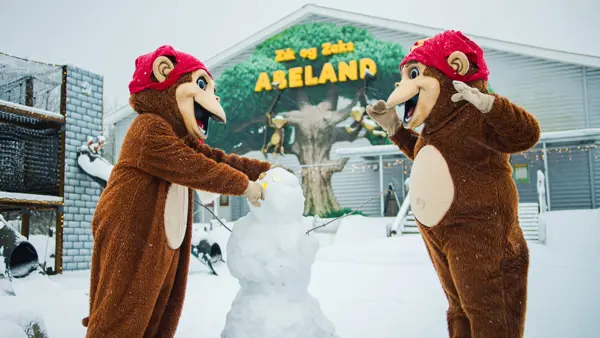 /media/tmmnxvy4/zik-zik-jul.jpeg?v=1da1d2aff9b9830