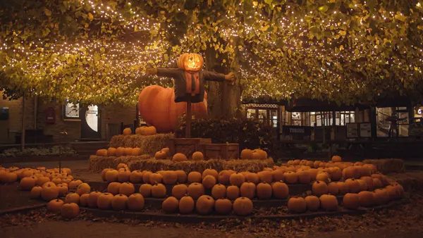 /media/x35oee01/halloween-21.jpg?v=1d9f825317d1660